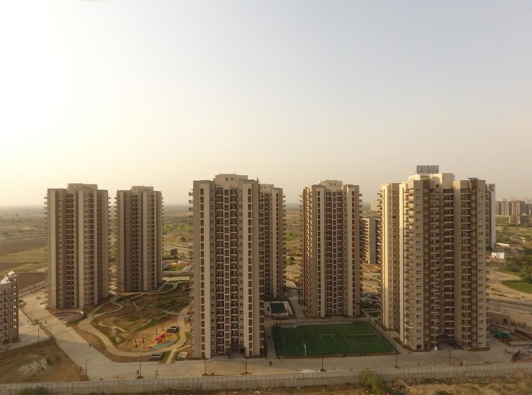 Adani Oyster Grande rear view