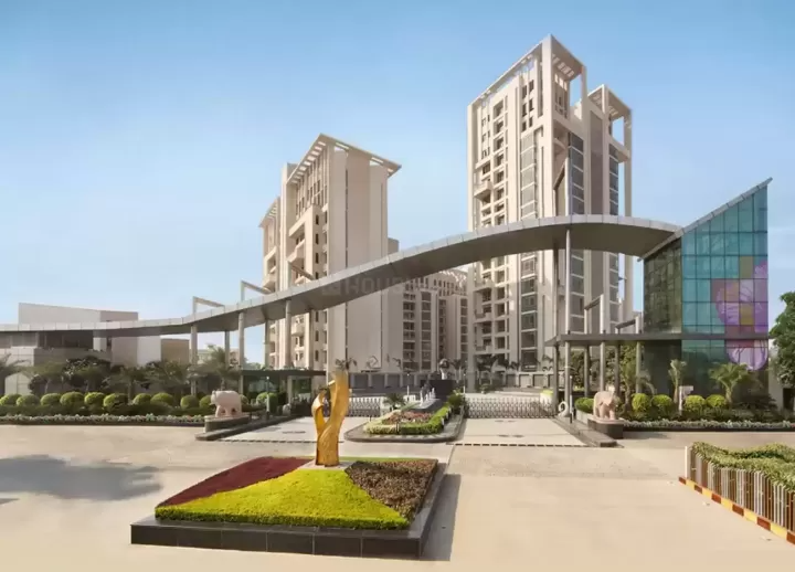 ss hibiscus FRONT VIEW